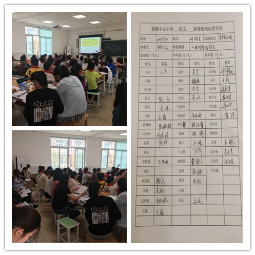 姚红集合