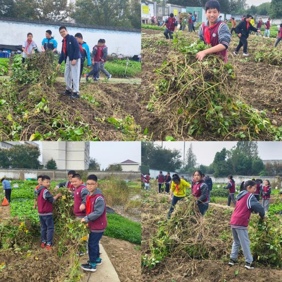 MEITU_20251031_103036244