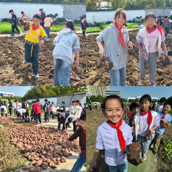 MEITU_20251031_103157294