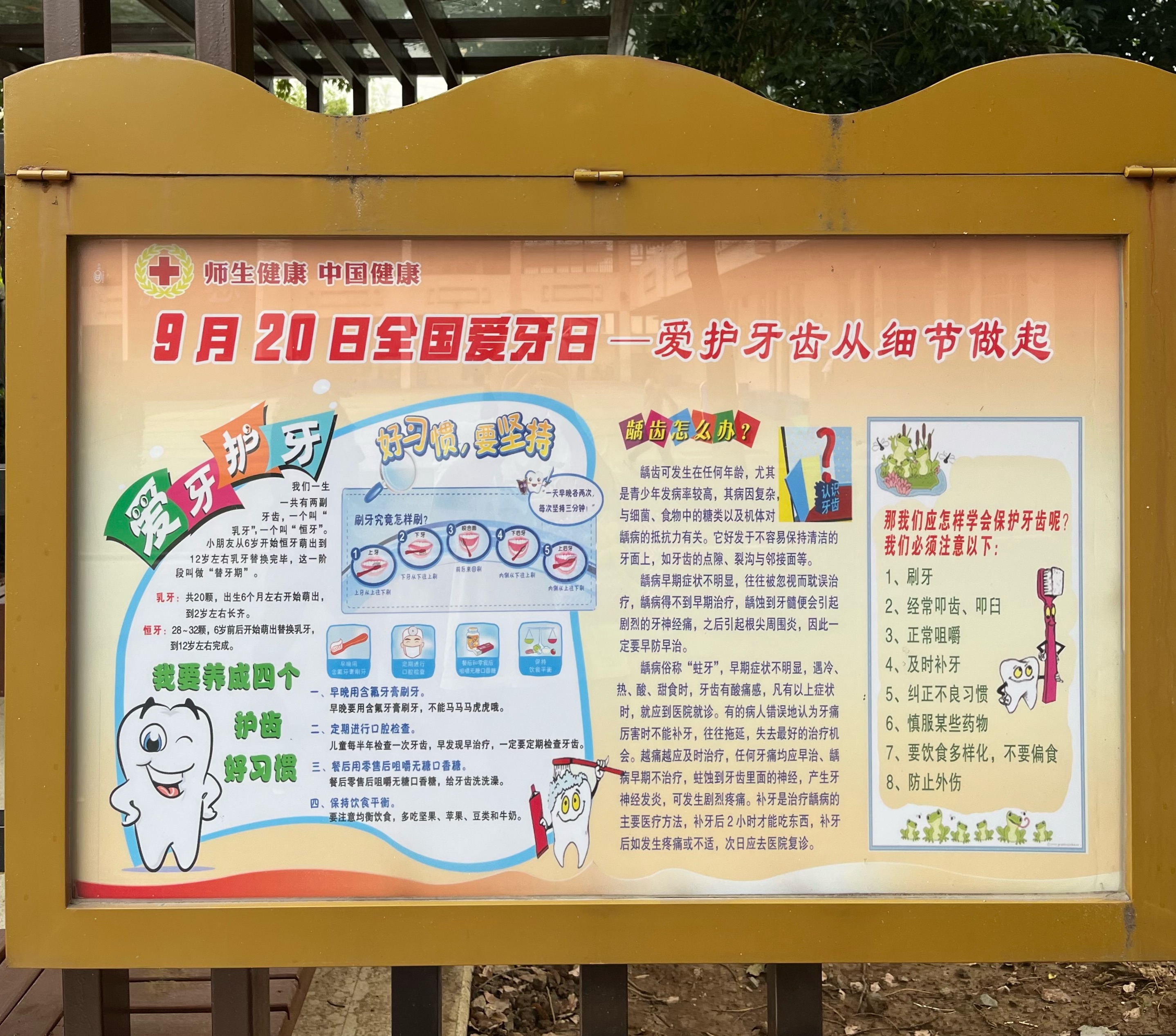 9BA648FD7C3806FDCB20B27D6724650C.png